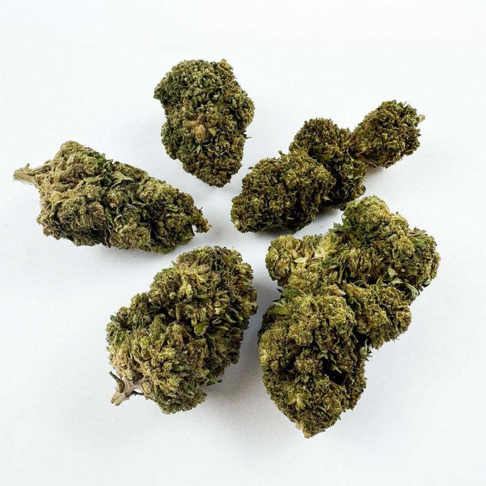 Critical - Hybride USA — photo 3