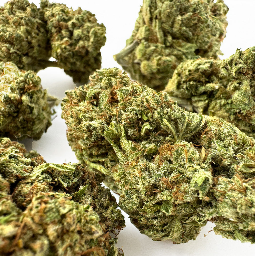 Malabar CBD - Indoor — photo 4