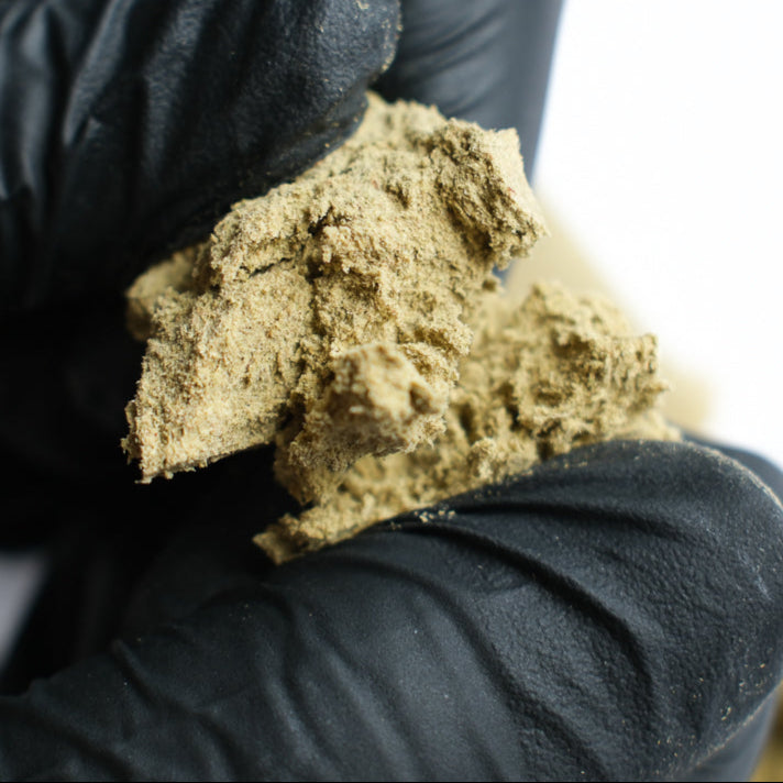 Pollen de CBD Malabar tenu dans une main