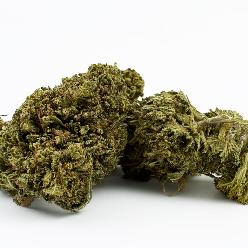 Passion Kush - Hybride USA