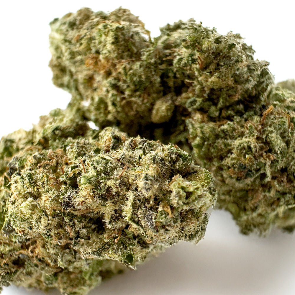 Plutonium - Indoor
