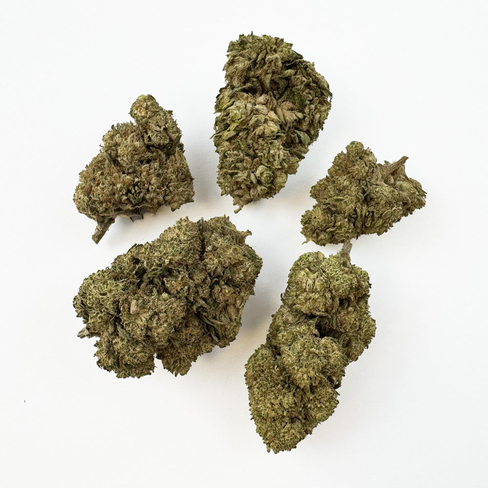 White CBG - Hybride