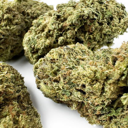 Candy Rain - Hybride USA