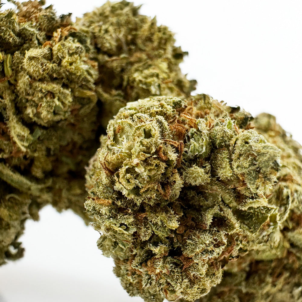 Citrus OG - Indoor