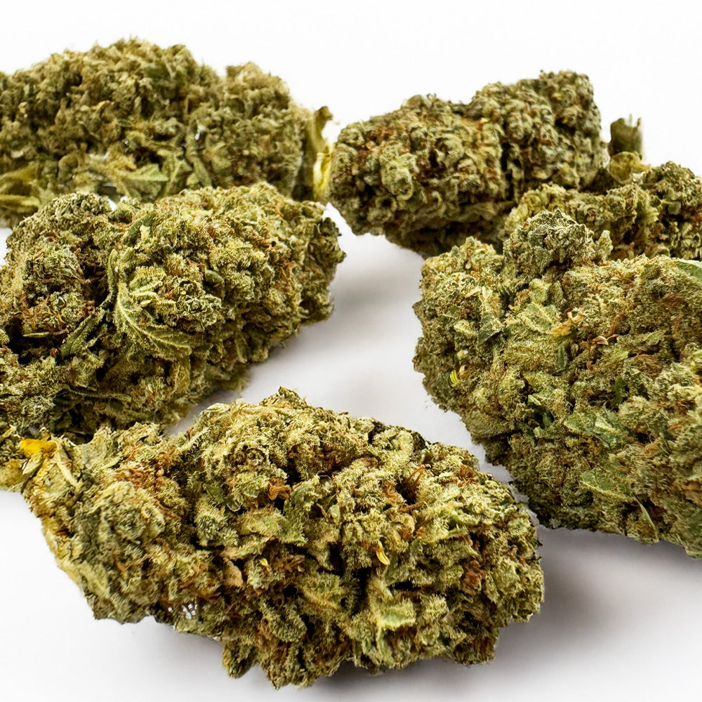 Citrus OG - Indoor