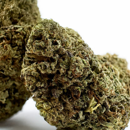 Critical - Hybride USA