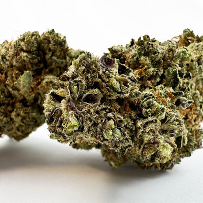 Dr. Grinspoon - Indoor Elite USA — photo 2