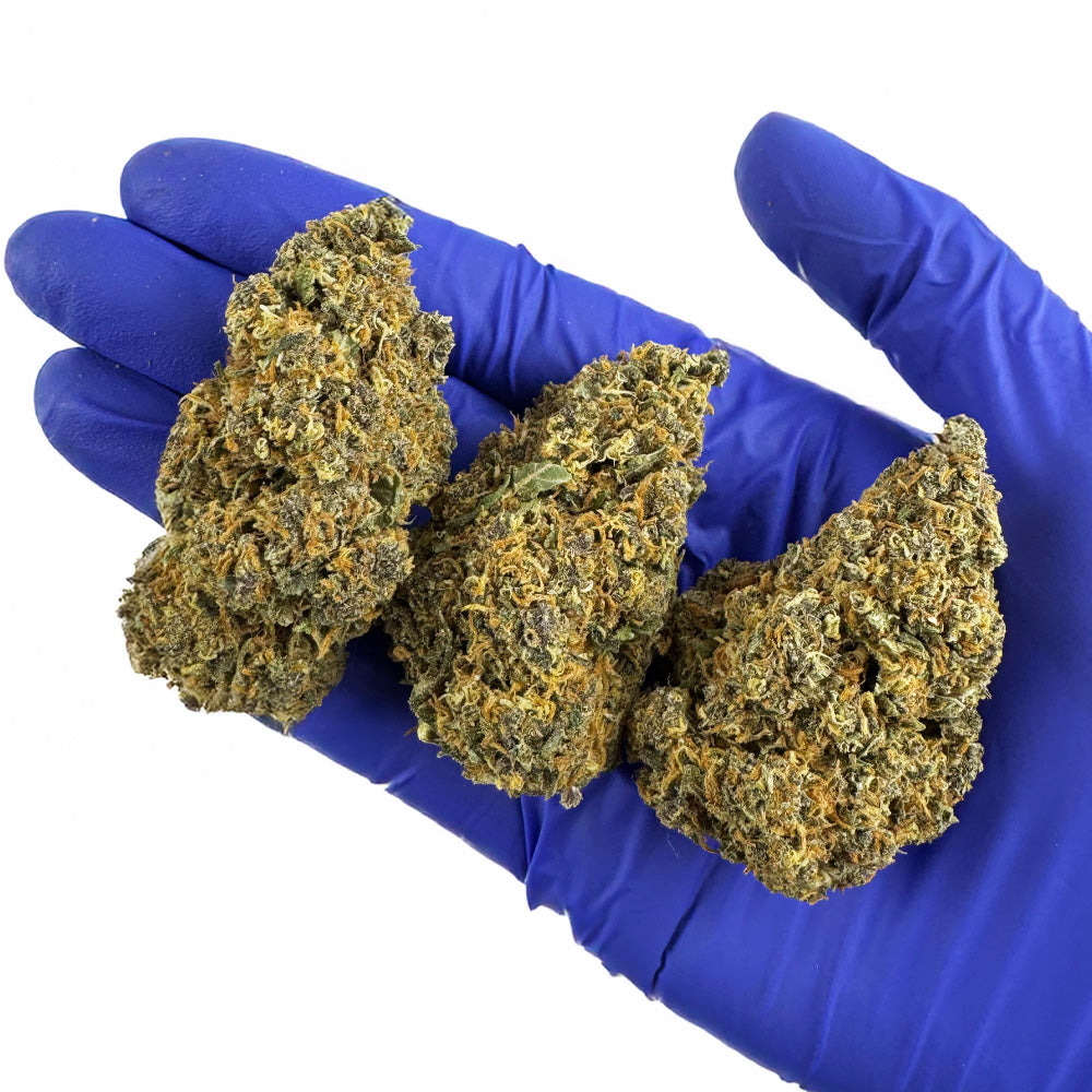 Grapefruit - Hybride USA