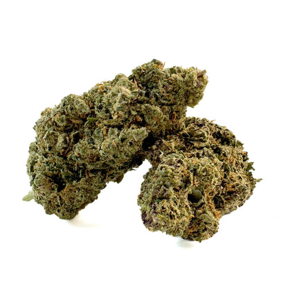 Guana Ice — fleur de CBD en gros, vue d'ensemble