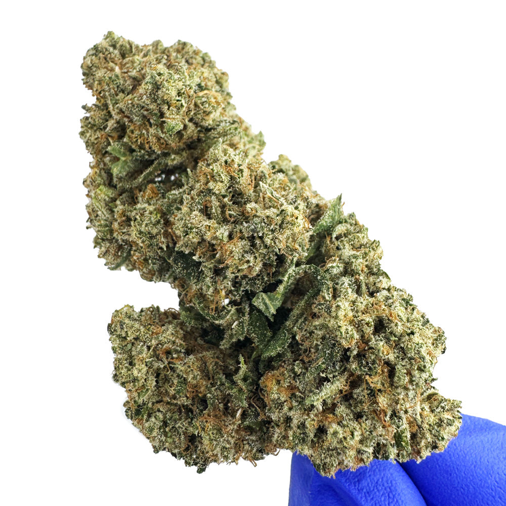 Guava Kush CBD - Indoor — photo 5
