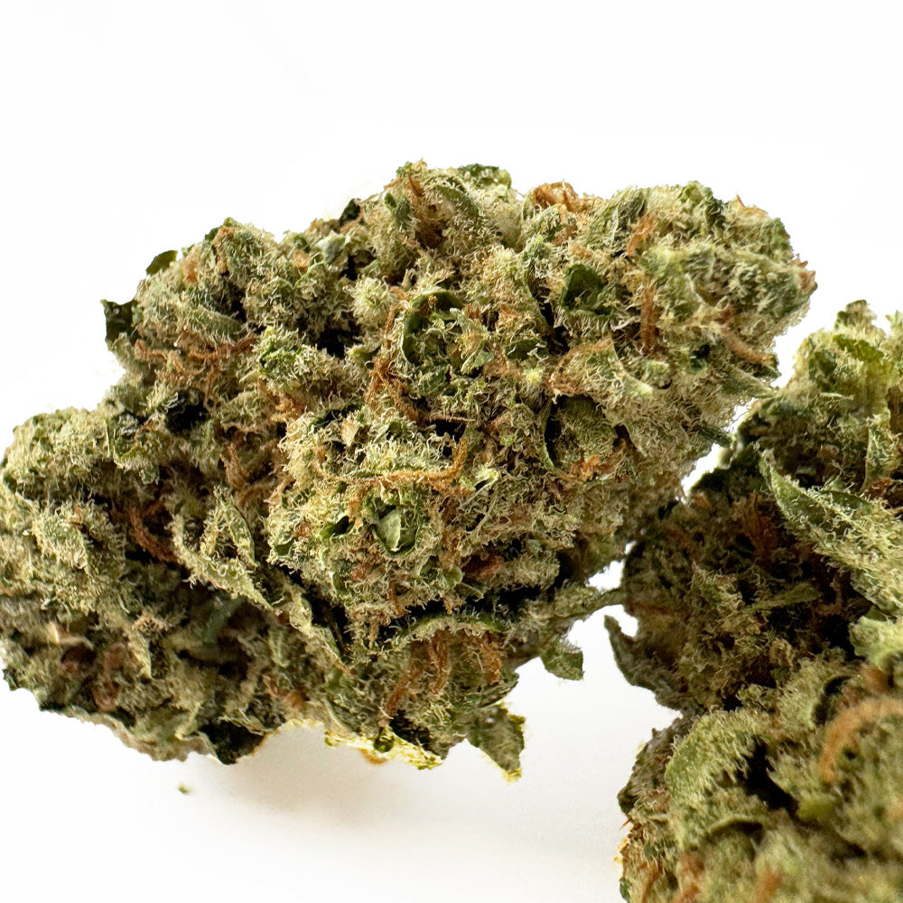 Lemon Meringue — fleur de CBD macro 2