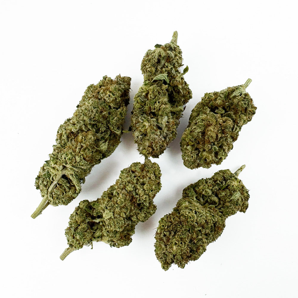 Malabar #B2 CBD - Indoor