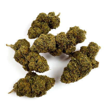 Orange Bud - Indoor