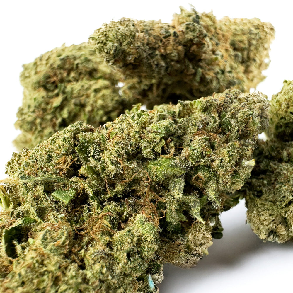 Plutonium - Indoor