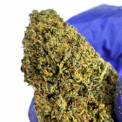 Skywalker - Indoor