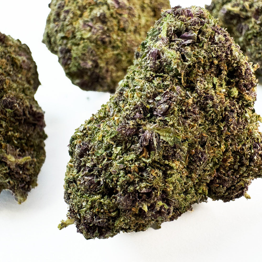 Slushie — fleur de CBD macro 4