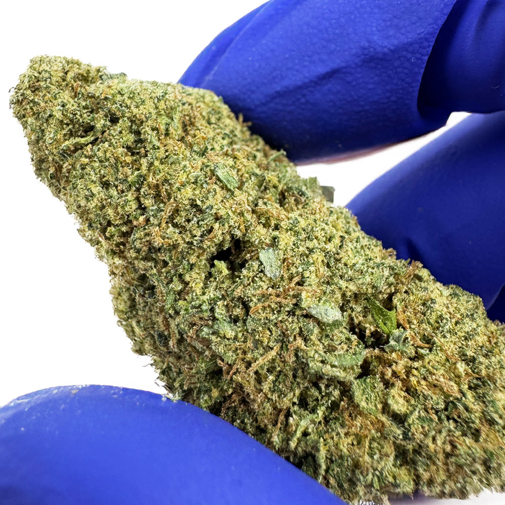 Super Special Sauce - Indoor USA