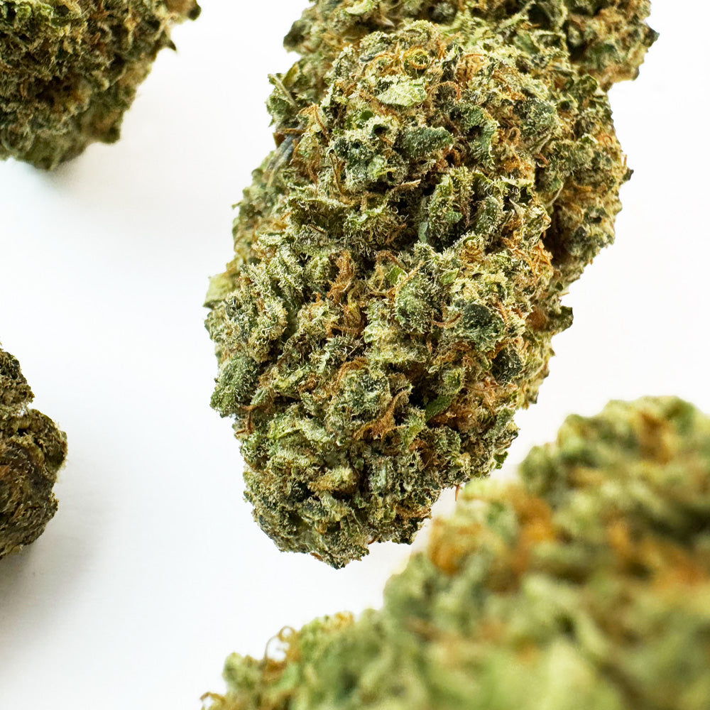 Swizzler — fleur de CBD macro 3