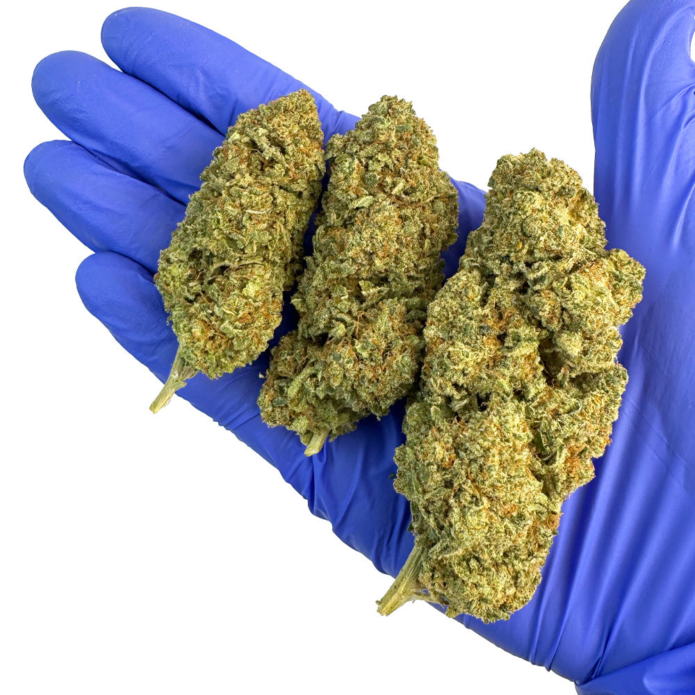 Swizzler — fleur de CBD macro 5
