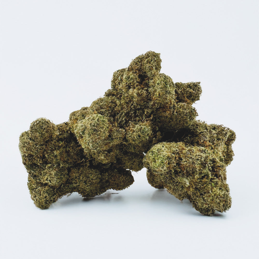 Watermelon CBD - Hydroponique Cali