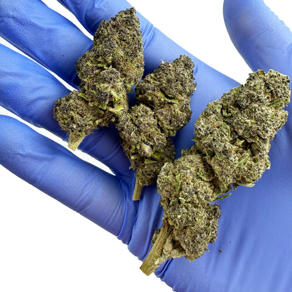 White Purple 0% THC - Indoor — photo 6