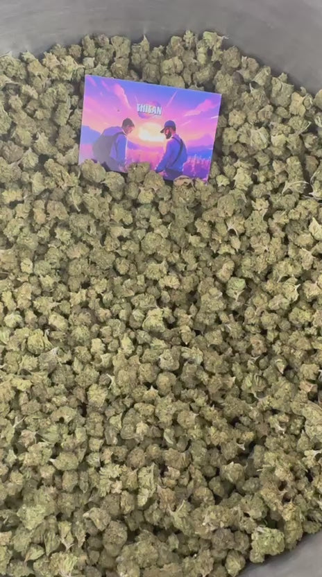 Charger la vidéo: Vidéo de présentation des Small Buds de Royal OG Hybride USA