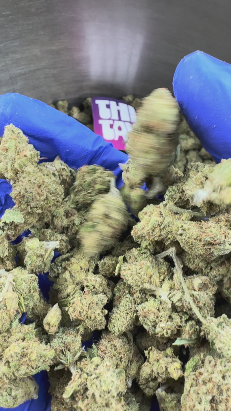 Medium buds Gushers V+ - Indoor — vidéo de présentation