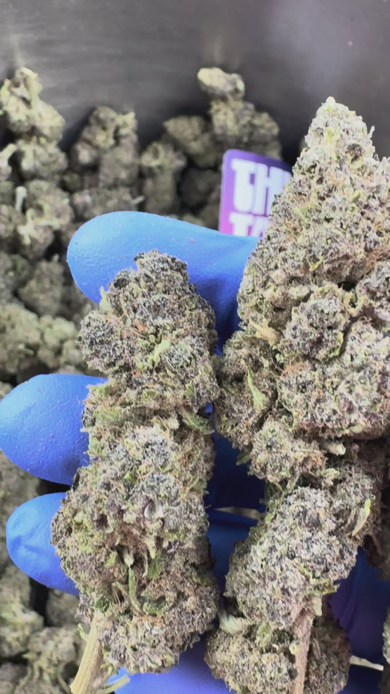 White Purple 0% THC - Indoor — vidéo de présentation