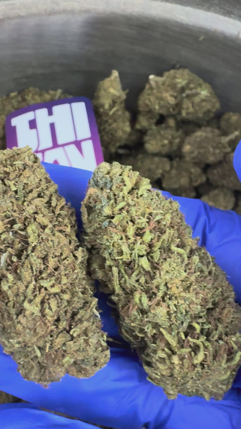 Passion Kush — vidéo de présentation
