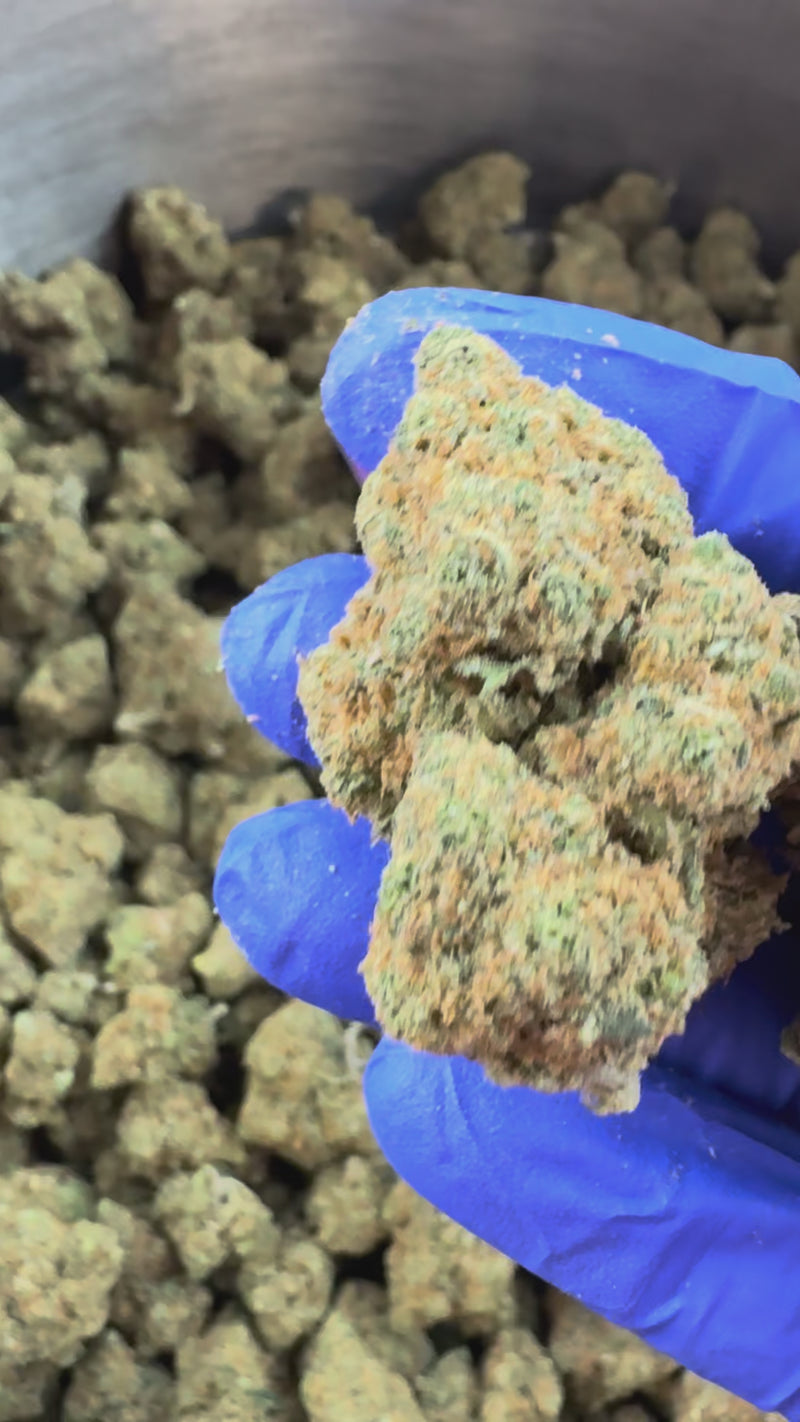 Orange Bud - Indoor — vidéo de présentation